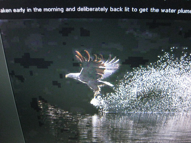 4950079254_f37dbbcf7f_z.jpg
