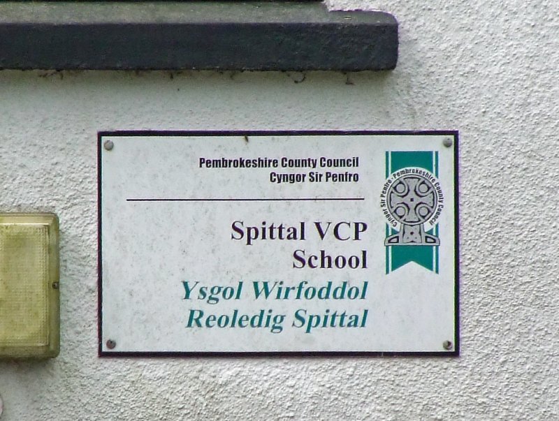97854731.jpg