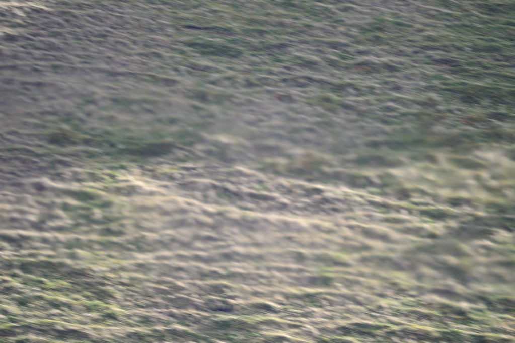 5194537759_9844b942b2_b.jpg