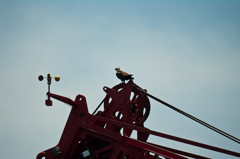 20100622223223_imgp4525.jpg
