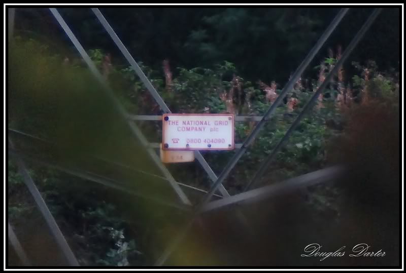 1200sign.jpg