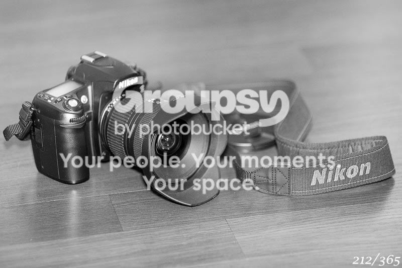 365_212.jpg