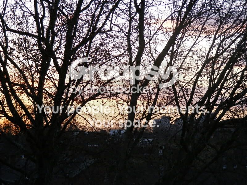 DSCF0177.jpg