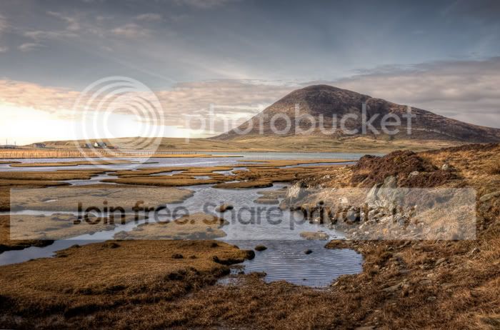 20100315-Harris-1.jpg