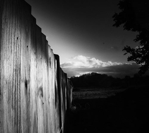 4599001984_c7f05d6446.jpg