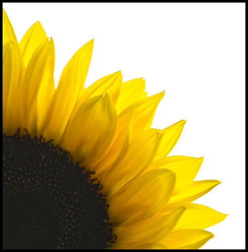 3915844072_b96078e8c5.jpg