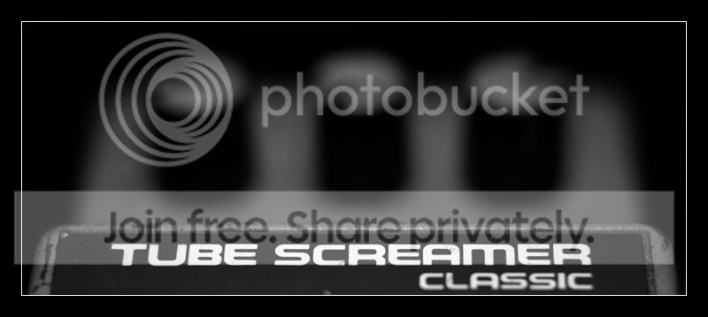Tubescreamer.jpg