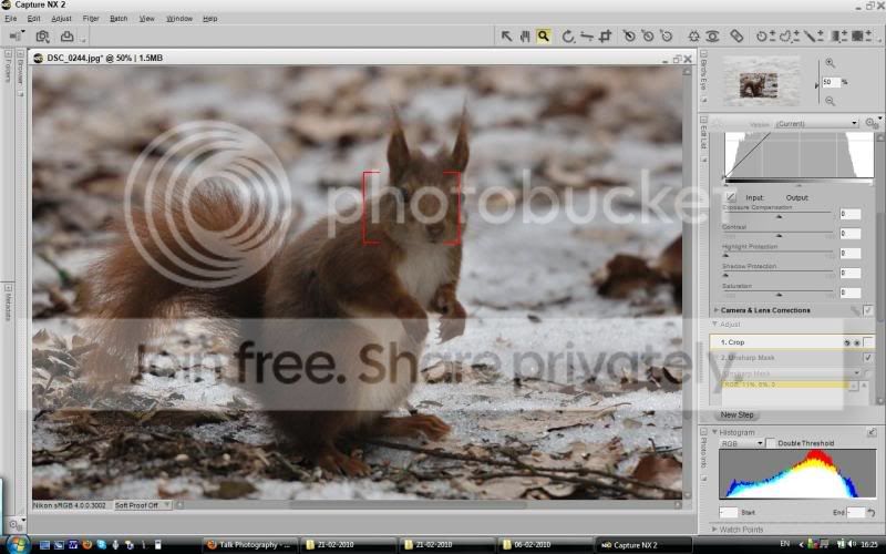 Bad_Squirrel_D90.jpg