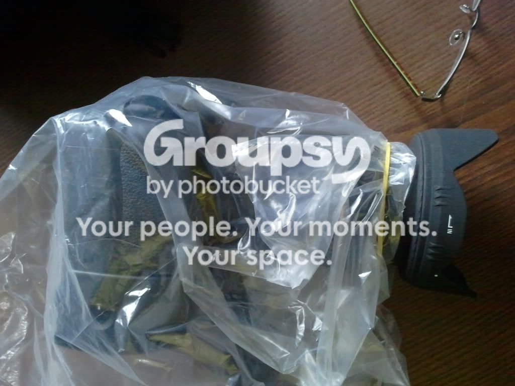 2011-07-16110850.jpg