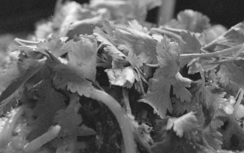 Image00004.jpg