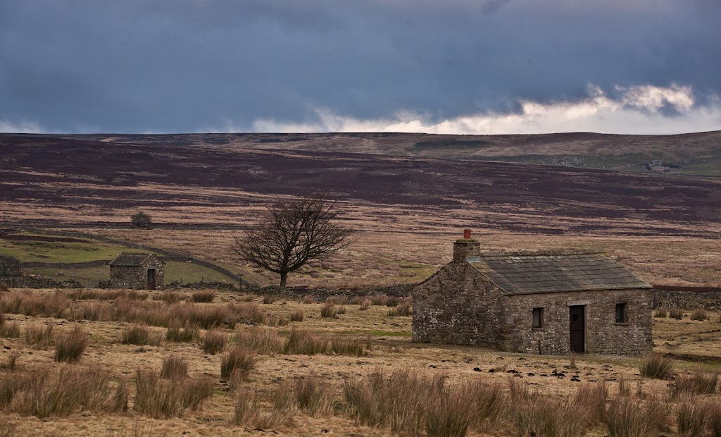 Dales-74.jpg