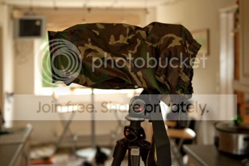 _CMG1517.jpg