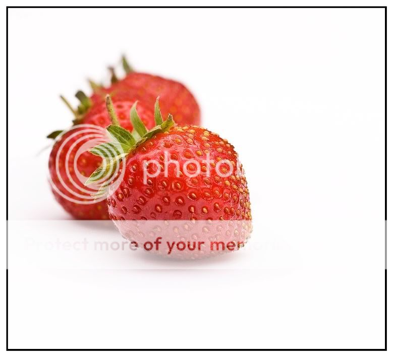 Strawberriescrop1754pb-1.jpg