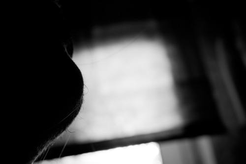 tumblr_lxw1yaYv8W1r9tafto1_500.jpg
