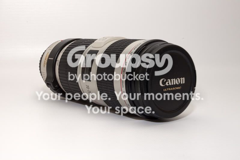 tsf16.jpg