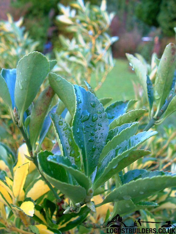 Finepix01.jpg
