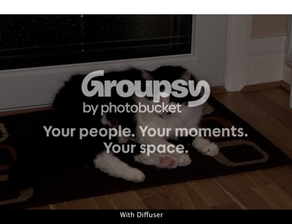 With.jpg