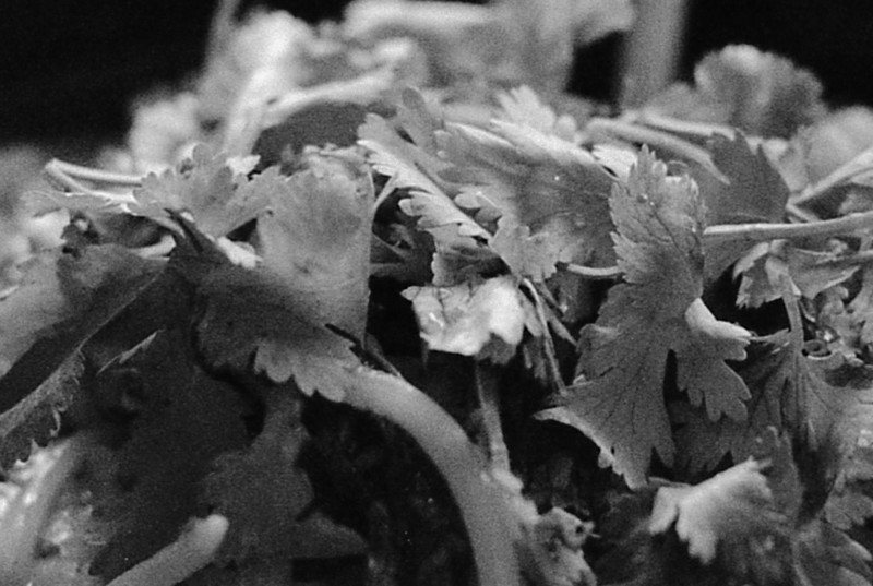 Image00002.jpg