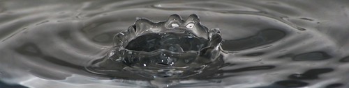 4628663033_497d88a5cf.jpg