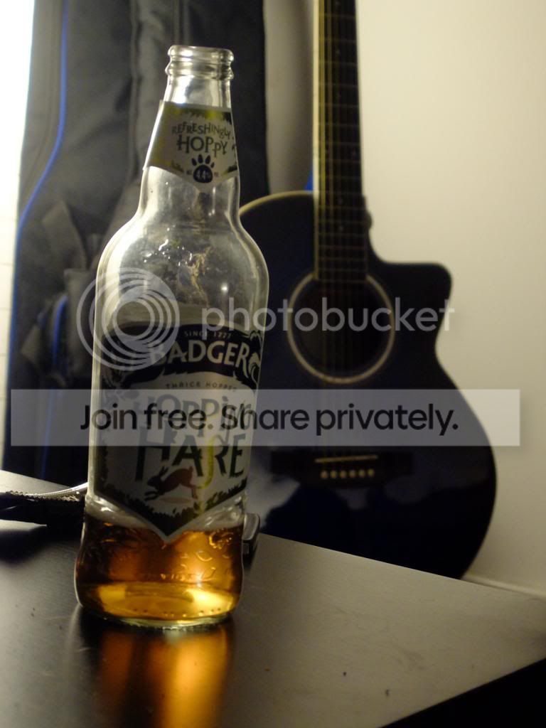 Beerperspective-2.jpg