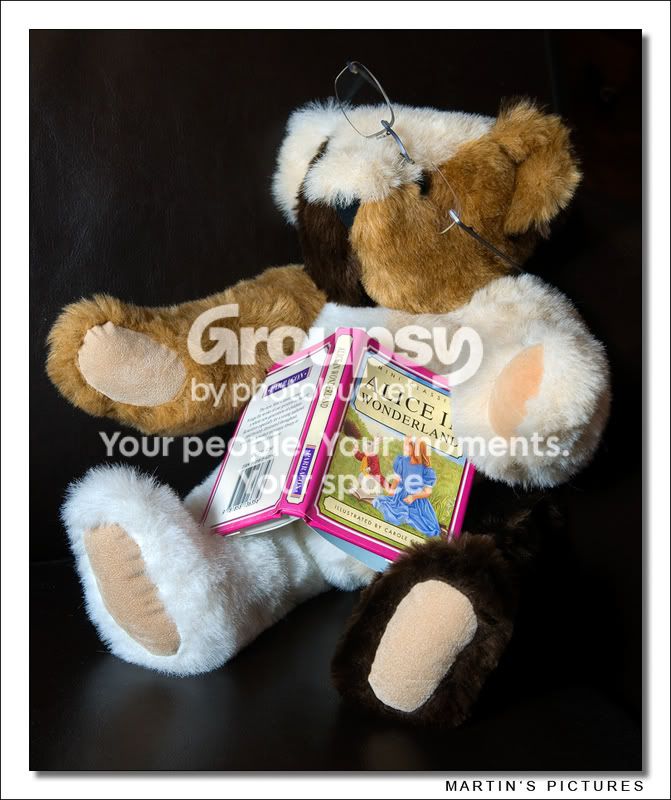 MyTeddyFramed-1.jpg