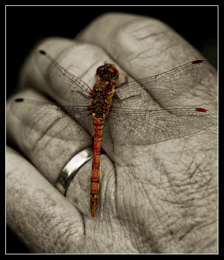 Married_to_nature_by_MessiahKhan.jpg