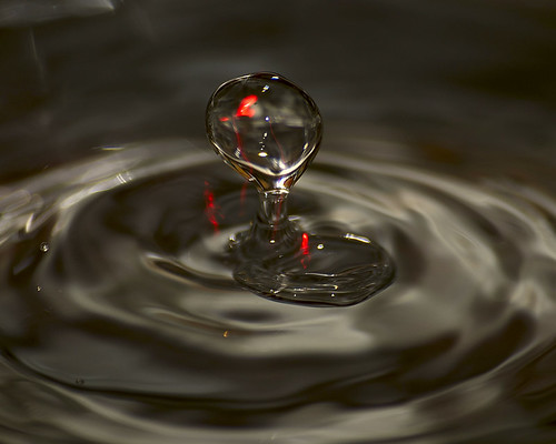 2359527416_08396ec4b6.jpg