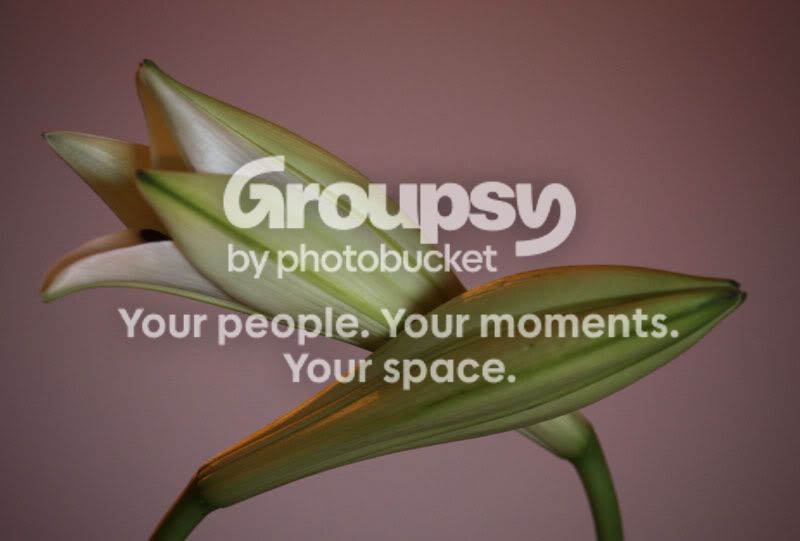 303processed2.jpg