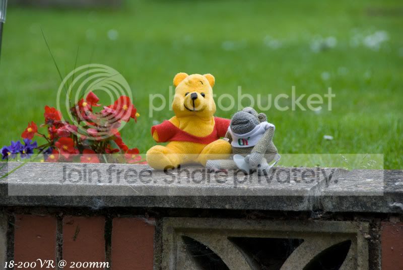DSC_4304.jpg
