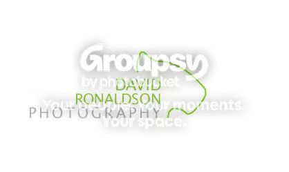 logoidea.jpg