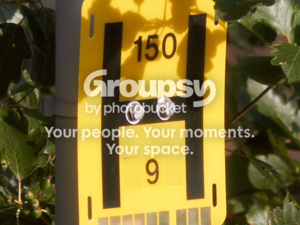 300mm.jpg