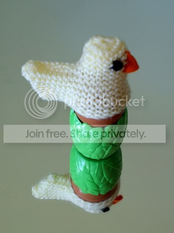 eggcosy.jpg