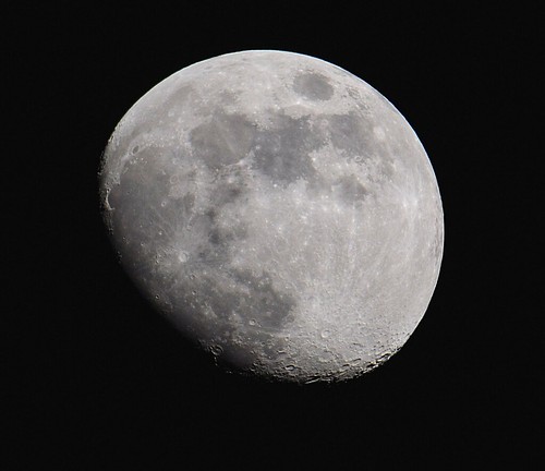 2274045407_abac610256.jpg