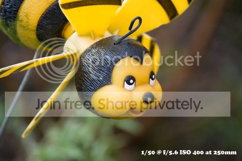 infobee2.jpg