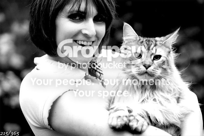 365_215.jpg
