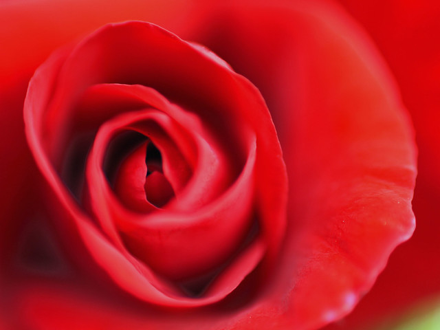 6203924280_d7c8259c86_z.jpg