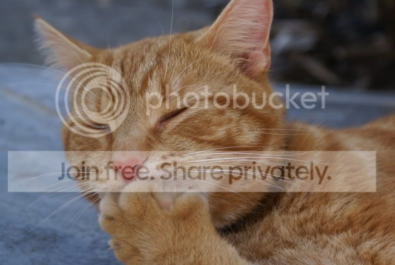 DSC00541.jpg