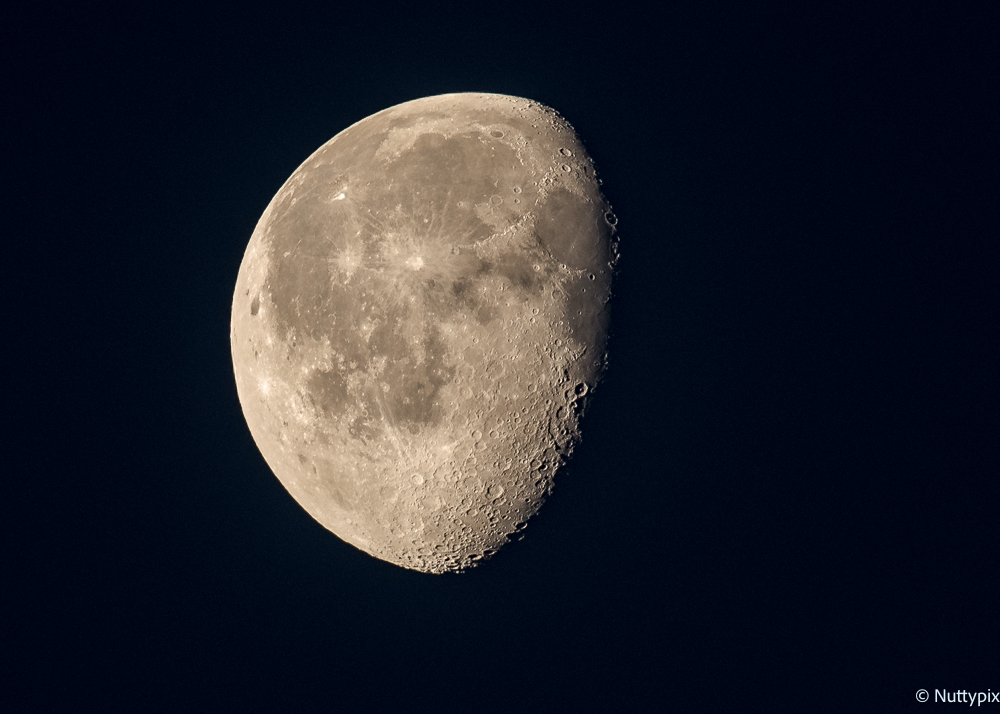 TP_Moon_D750.jpg