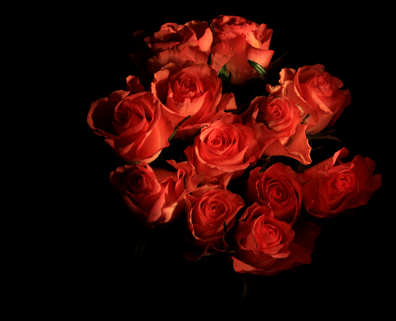 Flowers____painted_with_light_by_neoweb.jpg