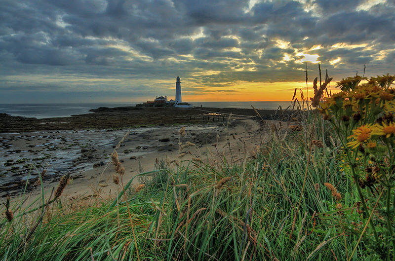 Lighthouse_in_the_wilderness_by_AngiNelson.jpg