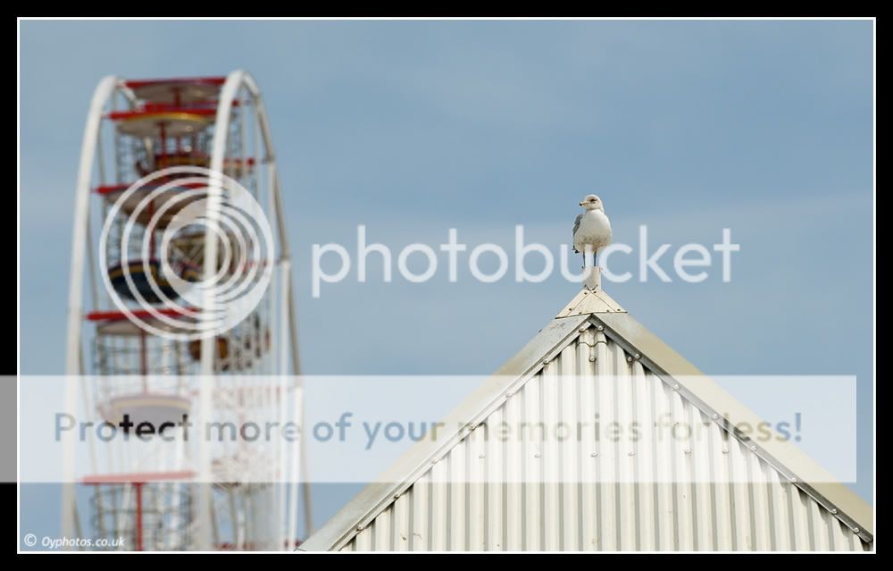 Blackpool200507-21.jpg
