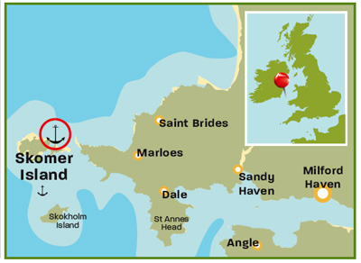 Skomer_Island_Devon_map1.jpg
