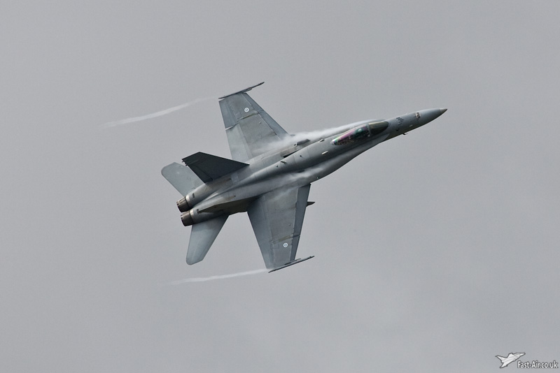 Finnish-F-18C-Hornet-HN-450-display-photo-4.jpg