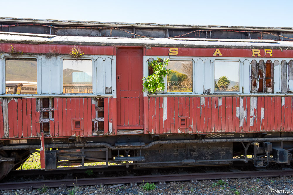 TP_SA_Train_Carriage_Windows.jpg